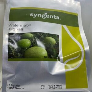 Elghali F1 Watermelon 1000 seeds (Syngenta Brand)