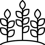 Crop Productions